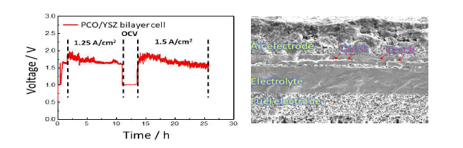 PCO/YSZ bi-layer 수전해 셀의 거동 및 미세구조 분석