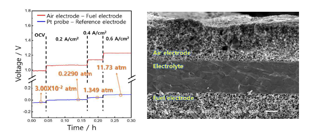 LSCF 셀의 전류밀도에 따른 전압 변화 및 미세구조 분석