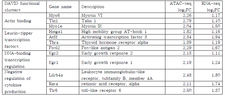 ATAC-seq과 RNA-seq 모두에서 upregulation을 보이는 유전자의 예.