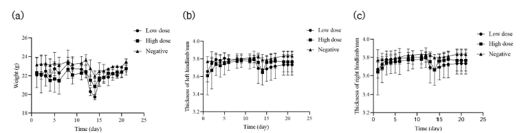 Changes in body weight and muscle thickness (left and righ) in mice (C57BL/6) fed fermented skate inoculated with Raoutella planticola as a starter: (a) Body weight growth curve of mice, (b) Measurement of muscle thickness when the left hindlimb grasps the cage, (c) Measurement of muscle thickness when the right hindlimb grasps the cage