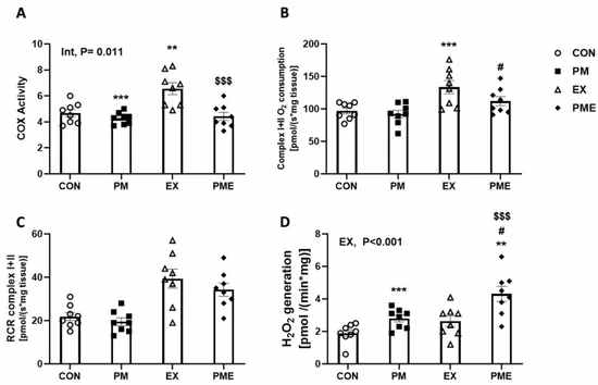 Mitochondrial respiratory function in the muscles of C57BL/6 mice exposed to particulate matter during exercise. (A) COX activity assay, (B) O2 consumption, (C) respiratory control ratio (RCR), (D) basal rate of hydrogen peroxide (H2O2) generation. Control (CON, n = 8), particulate matter exposure (PM, n = 8), exercise (EX, n = 8), and particulate matter exposure + exercise (PME, n = 8). Data are presented as the means ± SEM. Statistical significance is assigned as ** p < 0.01, *** p < 0.001 vs. CON, # p < 0.05 vs. PM and $$$ p < 0.05 vs. EX. Two-way ANOVA results were shown with p values. Int, interaction; EX, exercise.