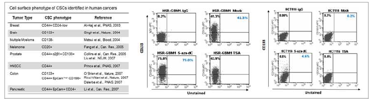 종양줄기세포 표지인자들과 후성유전학적 관계 (좌) 기존의 보고된 종양줄기세포 표지인자 리스트 (중) FACS분석을 통한 GBM 암세포주에서 5-aza-dC 처리 전후의 CD133의 분포 (우) FACS분석을 통한 대장암세포주 (HCT116)에서 5-aza-dC 처리 전후의 CD133의 분포
