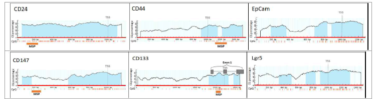 주요 종양줄기세포 표지인자들의 프로모터 영역에 존재하는 CpG islands 및 CG sites의 분포