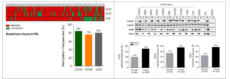 유방암 (n=100) (좌) 구강암 (n=102) (우) 환자에서 CD133, CD44, CD147, CD24 유전자들의 MSP 방법을 통한 Methylation 분석 결과