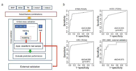 암 유전체 데이터로부터 인공지능을 이용한 표현형 학습 및 검증