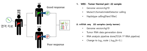간암 조직에서 면역치료 반응 정보 및 유전체 데이터 프로파일링