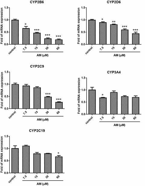 HepaRG cell 기반 CYP450 대사효소 qRT-PCR 결과