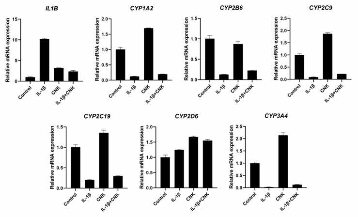 Normal IL-1β와 canakinumab을 처리한 후의 CYP450 mRNA expression 결과