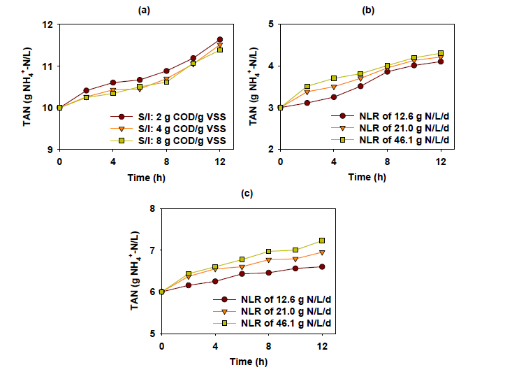 2, 4, 8 g COD/g VSS의 S/I 비율 조건에서의 회분식 실험 결과 ((a), (b) 및 (c) 각각 초기 TAN 농도 3 및 6 g NH4 +-N/L의 조건에서의 그래뉼)