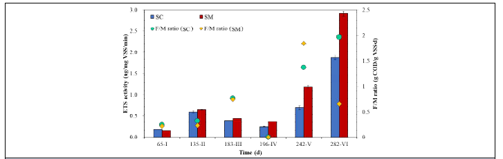 UASB 반응기 정상상태 ETS activity 및 F/M ratio