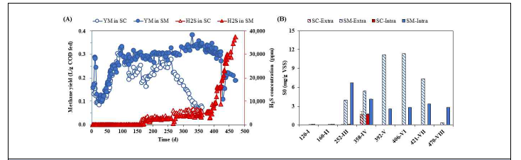 메탄수율 및 황화수소 농도(A), 세포 내외 원소 황의 농도(B)