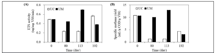 UASB 반응기 정상상태 ETS activity 및 비메탄수율