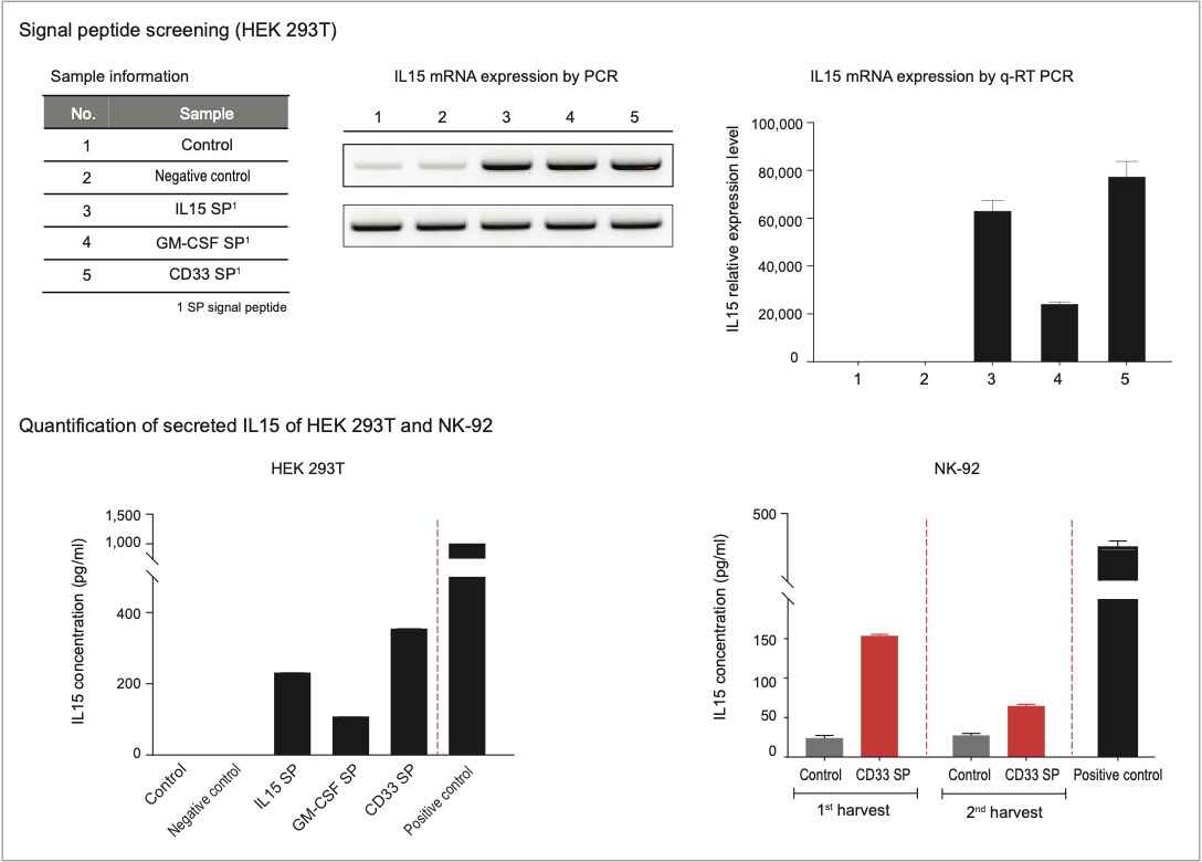 Signal peptide에 따른 IL15 발현양