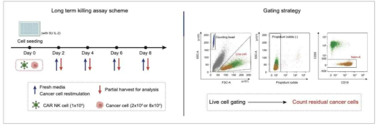 Long term killing assay 프로토콜