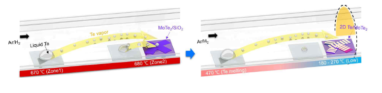 합성과정의 모식도 (좌) 1T’-MoTe2 (우) Te ribbon