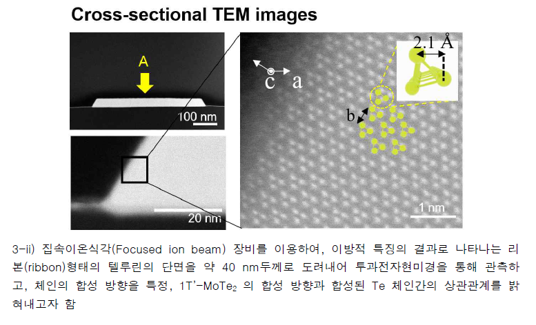 Te의 단면사진(low magnification(좌)/High resolution image(우))