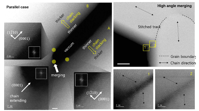 Merging behavior between Te ribbons