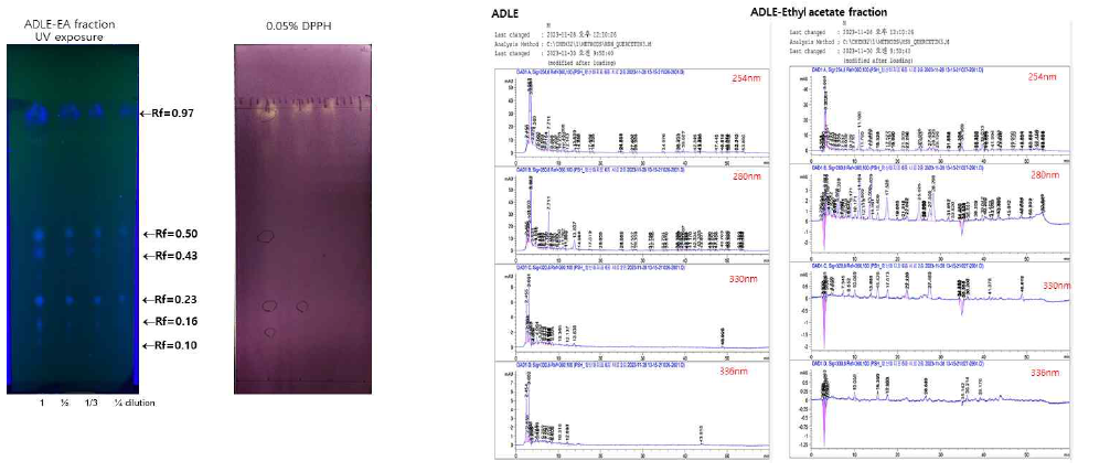 ADLE의 에틸 아세테이트 분획물의 Thin layer chromatography (TLC) 및 HPLC분석