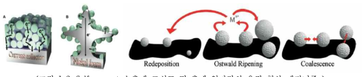 Self-supported 촉매 모식도 및 촉매 입자간의 응집 현상 메커니즘