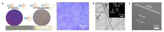 (a) 슬롯다이코터를 통해 코팅된 4인치급 2차원 반금속성 tellurene 필름, 제조된 tellurene 필름의 (b) TEM 및 SAED 패턴 결과, (c) HRTEM 이미지 분석 결과