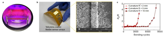 (a) 자체 보유하고있는 플라즈마 코터 장비, (b) tellurene이 코팅된 유연 적외선 센서 어레이 샘플 및 SEM 이미지, (c) 유연 적외선 센서의 반복 변형에 따른 적외선 광반응성 변화 결과