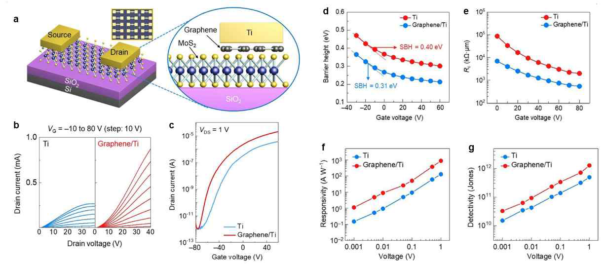 (a) graphene/Ti 전극 기반 MoS2 소자 어레이 모식도, Ti, graphene/Ti 전극 물질에 따른 (b) output 곡선, (c) Transfer 곡선, (d) barrier height, (e) 접촉 저항, (f) 광반응성, (g) 검출능 결과