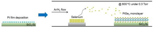 2차원 반금속성 PtSe2 박막 합성 공정(건식) 모식도