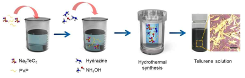 2차원 반금속성 tellurene 합성 공정(습식) 모식도