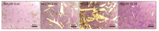 NH4OH 양에 따른 tellurene 형상 변화