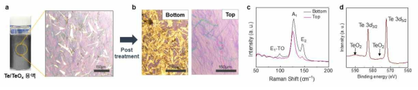 (a) 수열합성공정으로 합성된 tellurene의 후처리 (a) 전/(b) 후 OM 이미지 및 (c) Raman 스펙트럼, (d) XPS Te 3d 스펙트럼