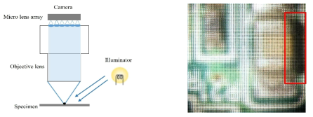 라이트 필드 현미경 측면 조명시스템 구조 및 획득 영상