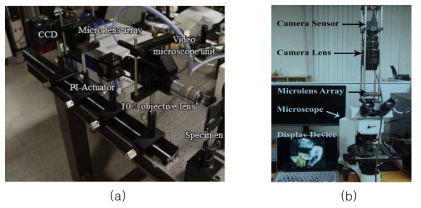 (a) 비디오 현미경 유닛과 (b) 사용 현미경을 사용한 라이트 필드 현미경의 구현