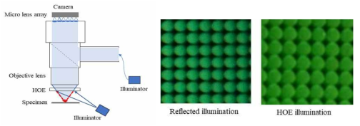 HOE 렌즈를 사용한 LF 현미경의 구조 및 조명의 실험 결과