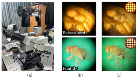 (a) 고배율 LF 현미경 영상획득 시스템과 (b) 2D 영상, (c) LF 영상의 예