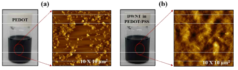 (a) 합성된 PEDOT과 (b) PEDOT:PSS에 분산된 DWNT의 표면 AFM 구조