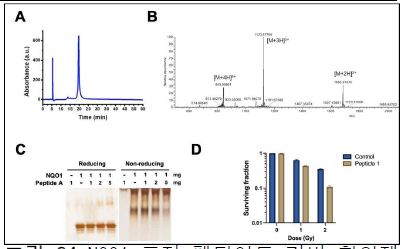 NQO1 표적 펩타이드 기반 항암제의 개발