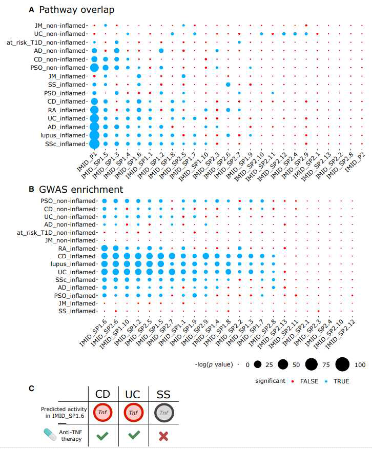 Relevance of subprograms for different human IMIDs