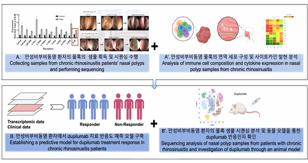 만성비부비동염 개별화 치료를 위한 후속연구 추진전략