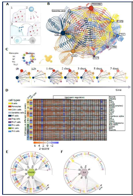 알레르기 질환의 Multicellular network model 확립 및 상위조절인자 prioritization