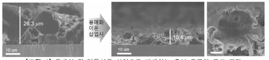 용매화 된 리튬이온 삽입으로 발생하는 흑연 음극의 구조 파괴