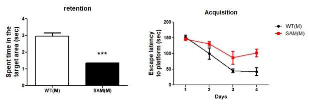 SAM2 결핍 랫에서 인지행동 분석