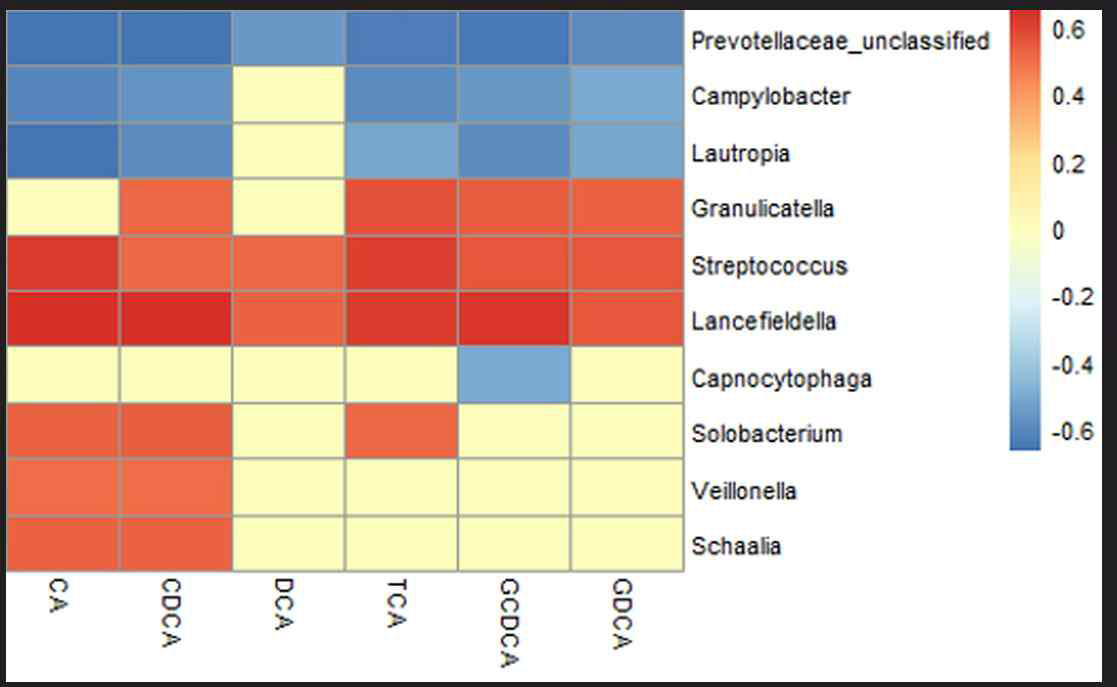 Spearman correlation between the abundance of genera and bile acids components
