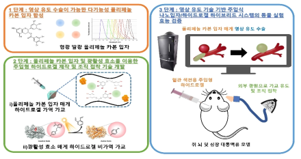 영상 유도 수술이 가능한 혈관 색전용 하이드로겔 개발 개요도