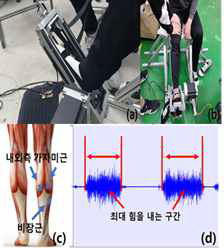 발목 모멘트 측정