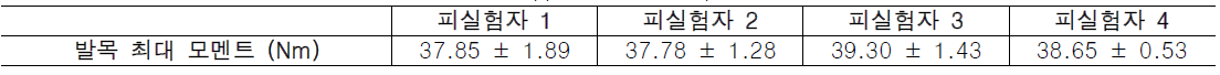 피실험자별 발목 최대 모멘트