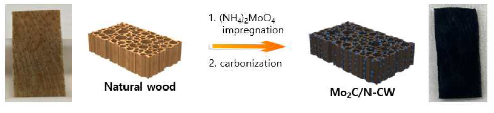 목재와 프리커서 열처리를 이용한 탄화목재 기반 Mo2C nanoparticle 전극 (Mo2C/N-CW) 제작 scheme