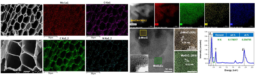 Mo2C/N-CW 표면의 SEM, EDS mapping image 및 TEM EDS, HRTEM image (d-spaing 포함)