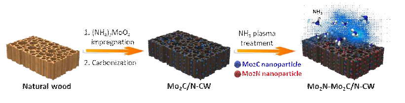 Mo2N-Mo2C/N-CW 구조 생성과정