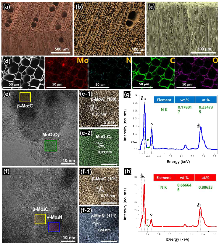Mo2N-Mo2C/N-CW 구조 분석 (SEM, TEM, EDS)