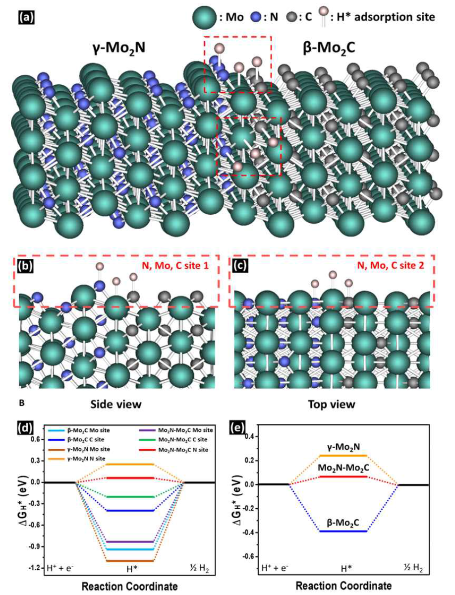 (a) 수소 흡착이 일어난 Mo2N–Mo2C의 구조 모델 (빨간 사각형). Mo2N–Mo2C의 이종 접합부에서 수소 흡착의 측면 (b) 영역 1과 (b) 영역 2. (d) Mo, C, N 영역에서의 HER에 대한 깁스 자유 에너지 다이어그램. (e) Mo2N–Mo2C, β-Mo2C, γ-Mo2N에 대한 ΔGH* 값